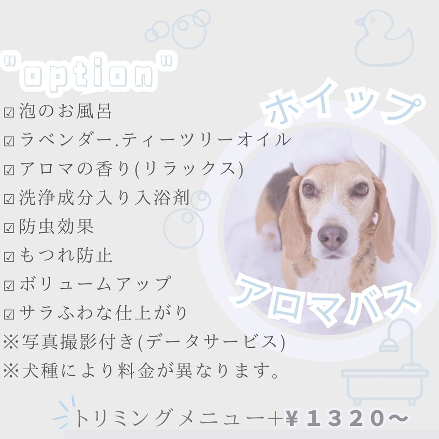 ホイップアロマバス（一番人気）：泡のお風呂、アロマの香りでリラックス、防虫効果、サラふわ仕上がり。トリミングメニュー+1,320円〜